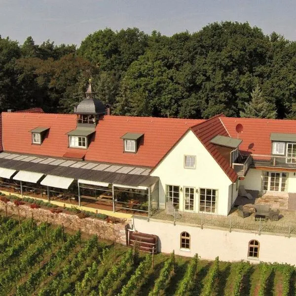 Pension Bella Vista - Winzerhof Golk, hotel a Meissen