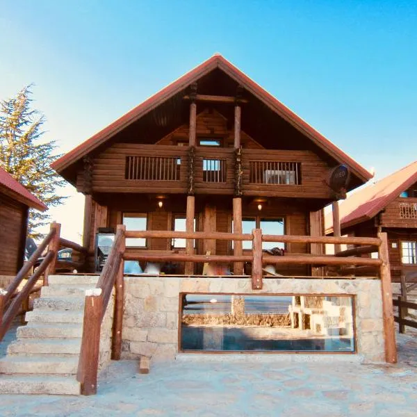 Mountain Chalet, hotel in Covilhã