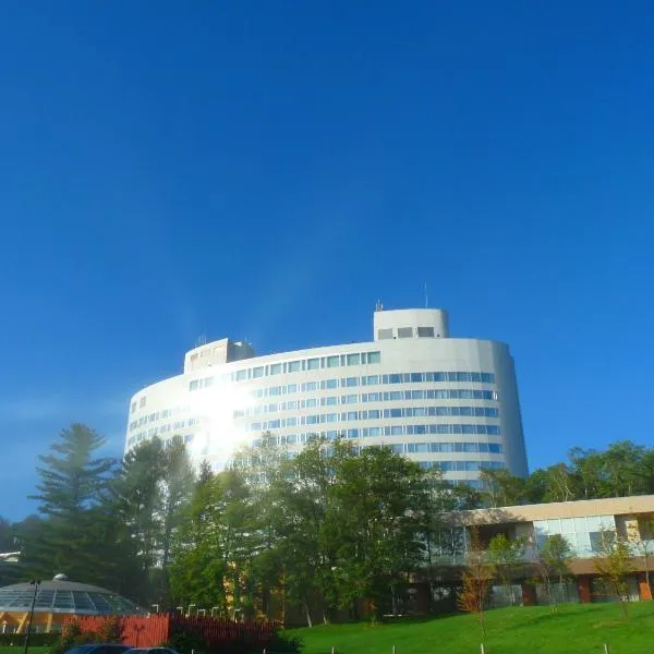 Shin Furano Prince Hotel, готель у місті Фурано