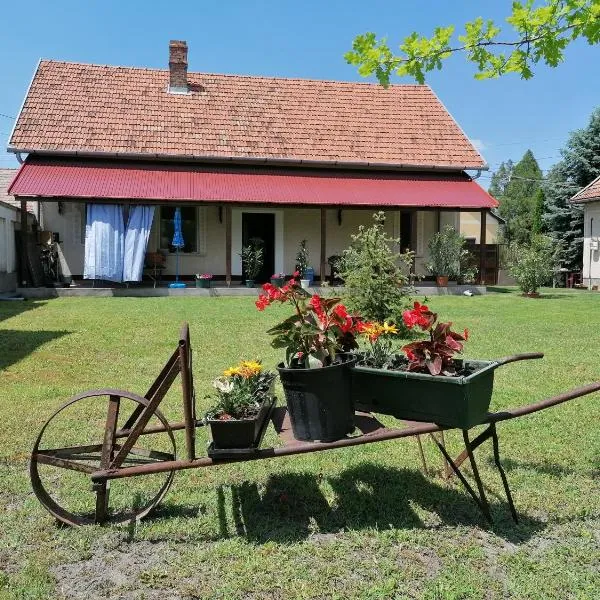 István Vendégház, hotel di Mórahalom