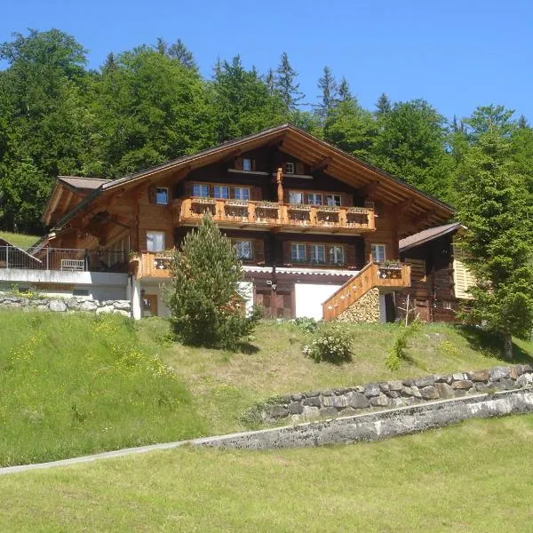 Chalet Spinne, hotel in Grindelwald