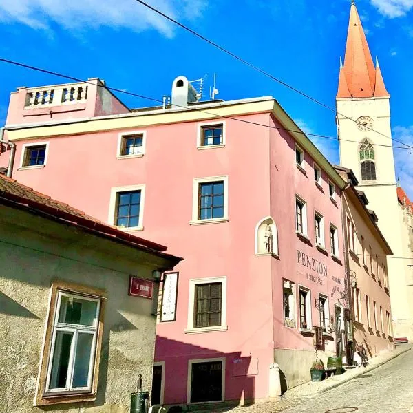 Boutique Apartments U Rolanda, Mikulášské náměstí, hotel en Znojmo