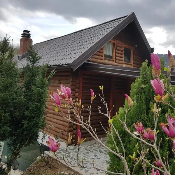 Brvnara - Winter house, hotel sa Konjic