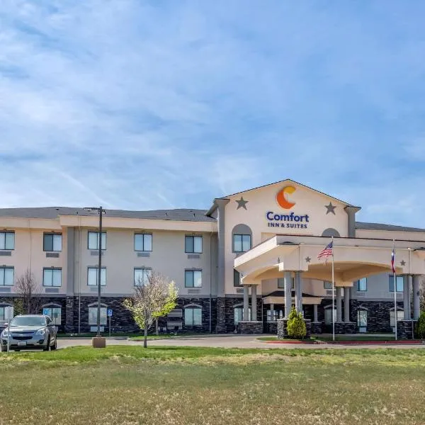 Comfort Inn & Suites, hotel di Wolfforth