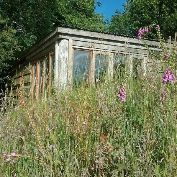 FoxesDen, Unique Eco Cabin, Dartmoor views, hotel di Torquay