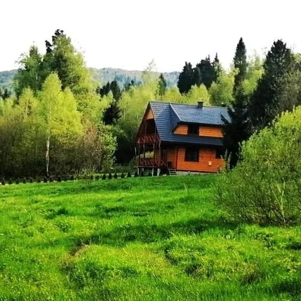 DoMarka całoroczny dom w Bieszczadach, hotel v destinácii Wetlina