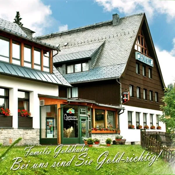 Ferienhotel Mühlleithen โรงแรมในLengenfeld