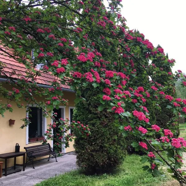 Bakonyi Kemencésház, hotel en Bakonybél