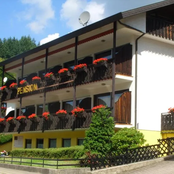 Pension Williams, hotel a Oberkirch