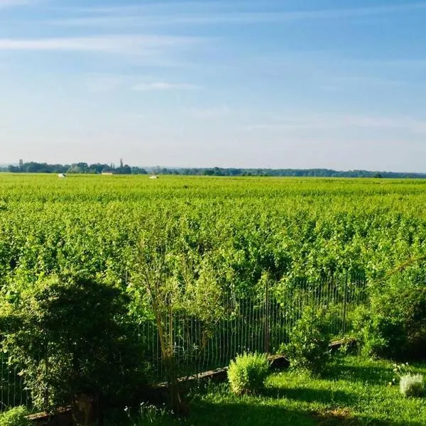 Appartement avec vue sur les vignes à Gevrey, hotel di Gevrey-Chambertin