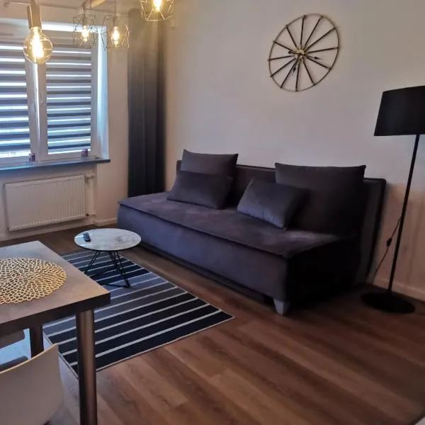 Apartament Platynowy w Centrum Miasta, hotel sa Częstochowa