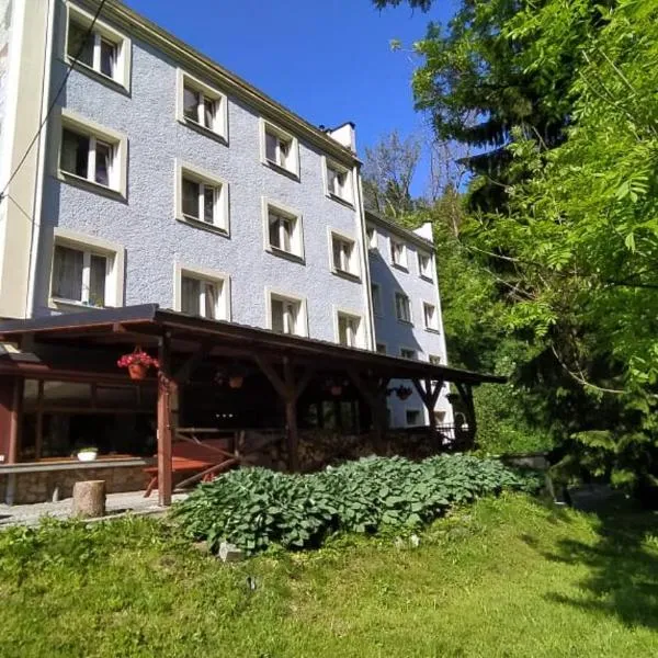 Pensjonat 4 Pory roku, hotel u gradu Dušniki Zdroj