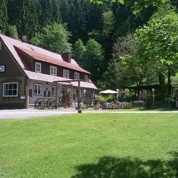 Waldpension Harzer Waldwinkel, Hotel in Hahnenklee-Bockswiese