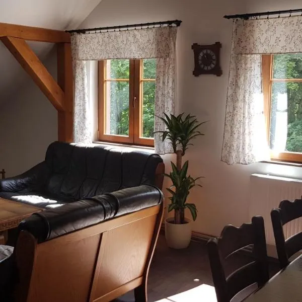 Apartmán Jizerka, hôtel à Kořenov