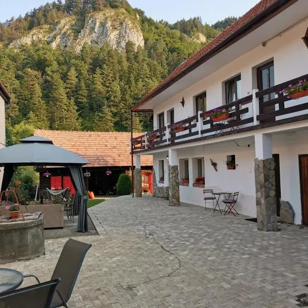 Guest House Piatra Craiului, хотел в Бран