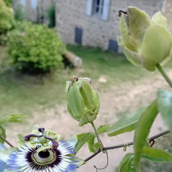 Ferme de fenivou: Davézieux şehrinde bir otel