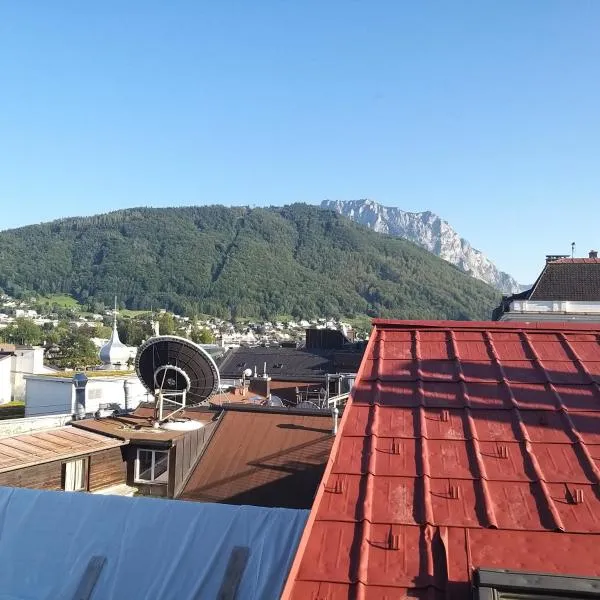 Rooftop Apartment, Exclusive City and Mountain View、グムンデンのホテル