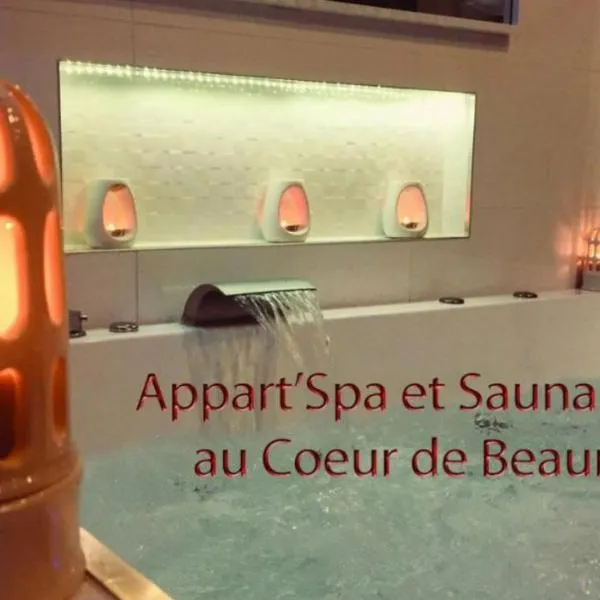 Appart' Spa et Sauna Privatif Au Cœur De Beaune, hotel Beaune-ban