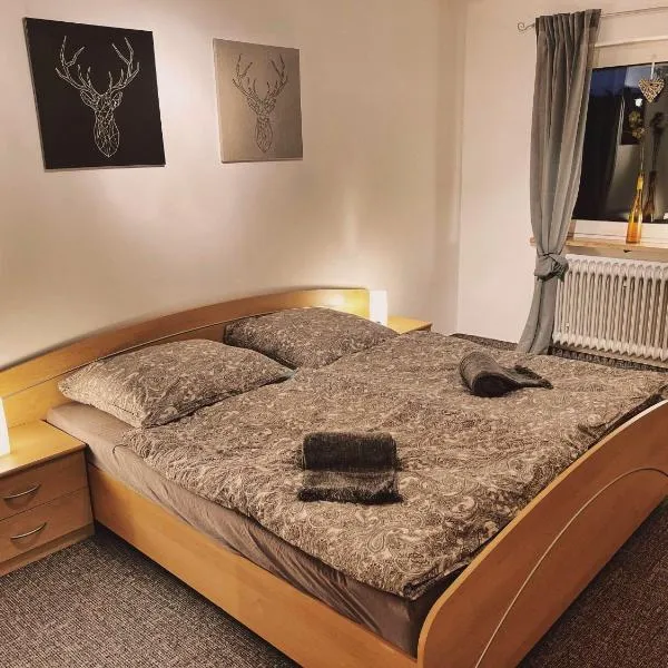 Ferienwohnung Bienenkorb, hotell i Grünhaid