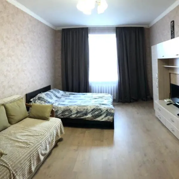 Уютная квартира, hotel em Boryspil