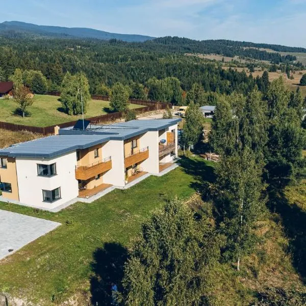 Bazalt Apartments, Hotel in Miercurea Ciuc