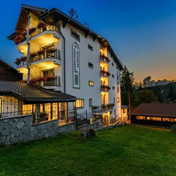 Pensiunea Hilltop, hotel di Predeal