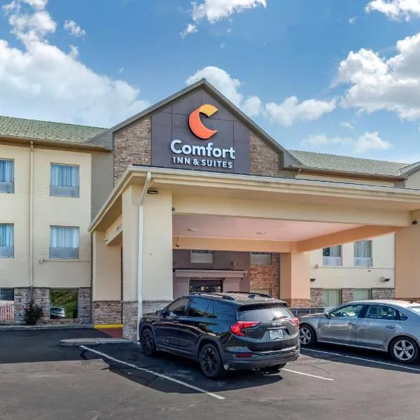 Comfort Inn & Suites, viešbutis mieste Sinsinatis