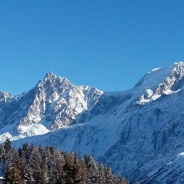 Appartement chaleureux a Les Houches 29 m² avec piscine partagee, hotel v destinaci Les Houches