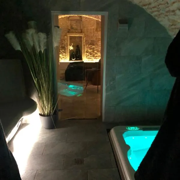 jaccuzi & spa des caves Stanislas, hótel í Nancy