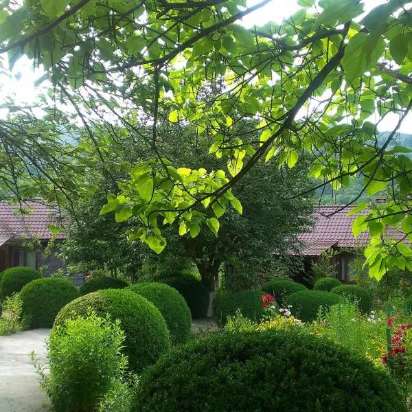 Kvasnyi, hotel em Rakhiv