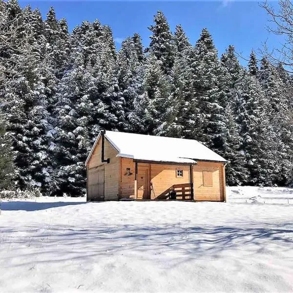 Wood Cabin by the River - for Nature Lovers，維蒂納的飯店