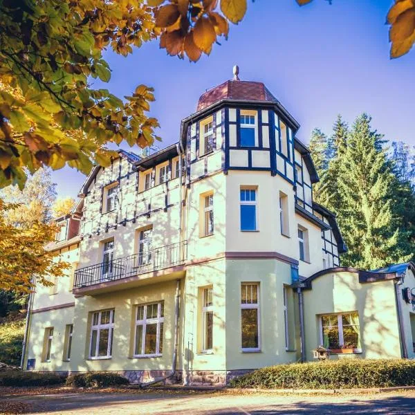 Hotel Hubertus, hotel a Karlovy Vary