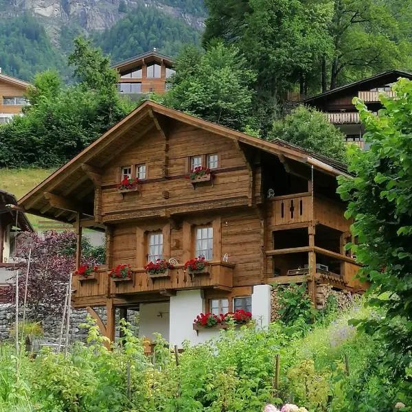 B & B Brienz, hotel di Grindelwald