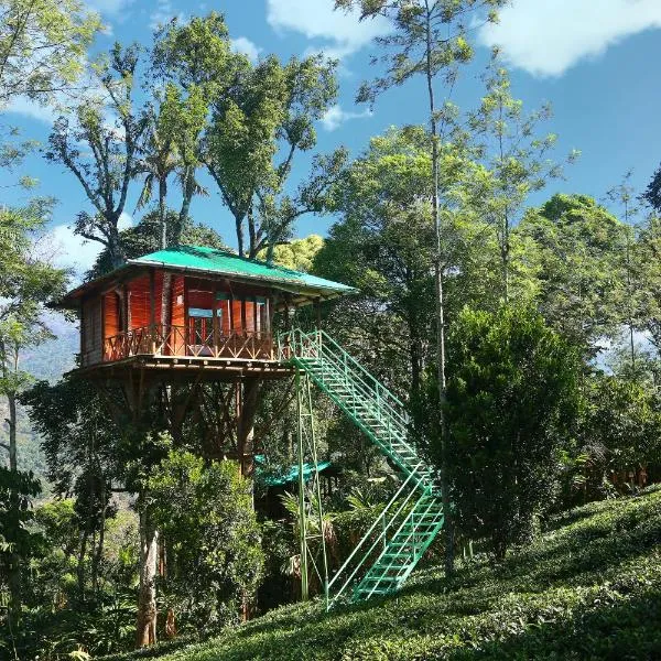 Dream Catcher Plantation Resort, ξενοδοχείο σε Munnar