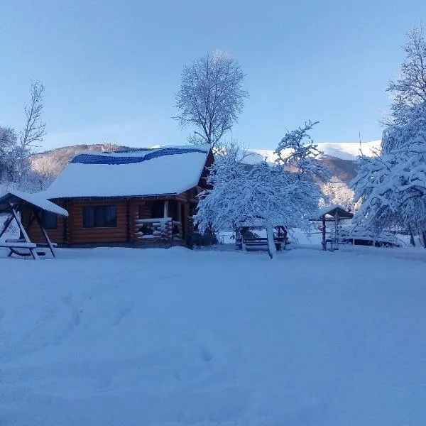 피리페츠에 위치한 호텔 Cottage Лісовий