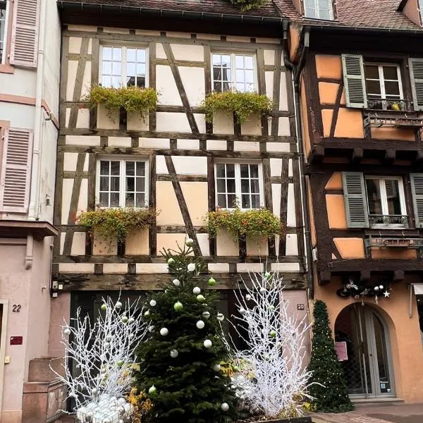 Les Suites Du Cygne, hotel en Colmar