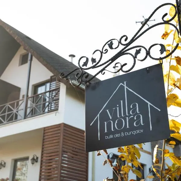 Villa Nora Butik Otel ve Bungalov，位于伯萨的酒店