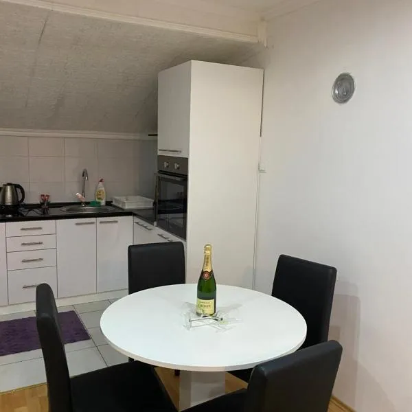 Apartmani Petra, hotel em Novi Sad