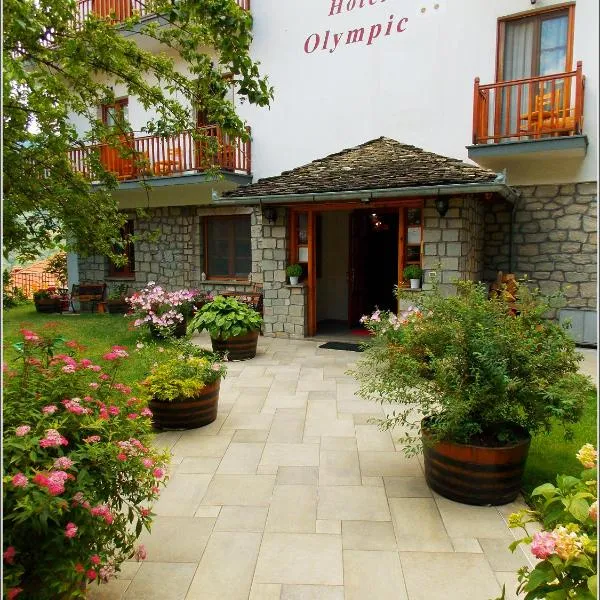 Hotel Olympic, khách sạn ở Metsovo