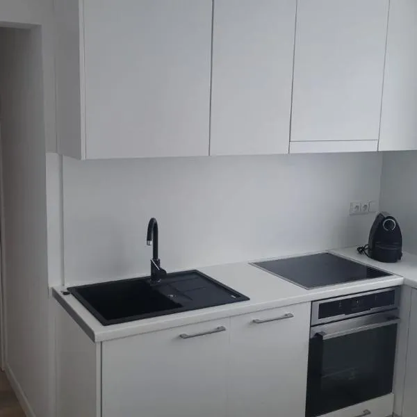 City center apartment, хотел в Алитус