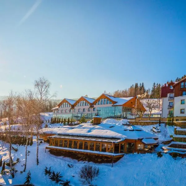 Hotel & Medi-Spa Biały Kamień, hotel a Świeradów-Zdrój