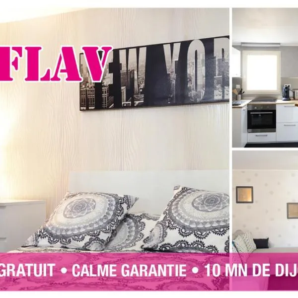 Le Flav - Charmant appartement à 10 mn de Dijon, hotel di Gevrey-Chambertin