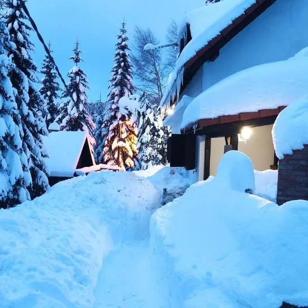 Uki & Sofi mountain house, ξενοδοχείο στο Κοπαόνικ