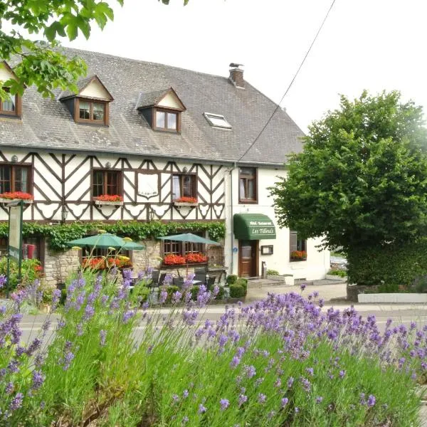 Hostellerie des Tilleuls, hôtel à Redu