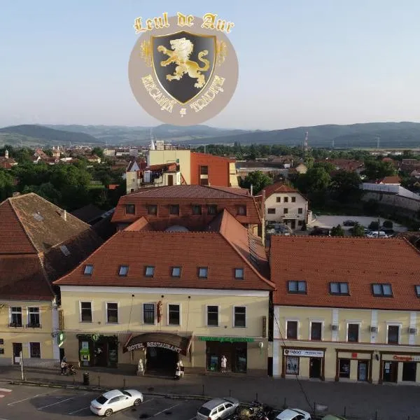 Hotel Leul de Aur, hotel v destinaci Alba Iulia