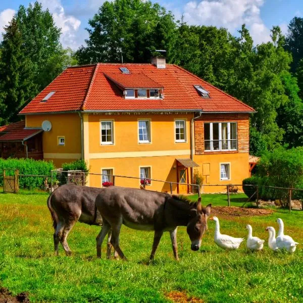 Chalupa Jenín, hotel in Rožmberk nad Vltavou