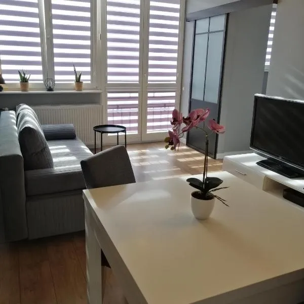 Apartament w Centrum, hotel sa Szczecin