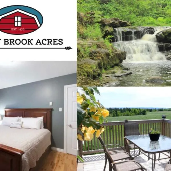 Rocky Brook Acres, hotelli kohteessa Deer Lake