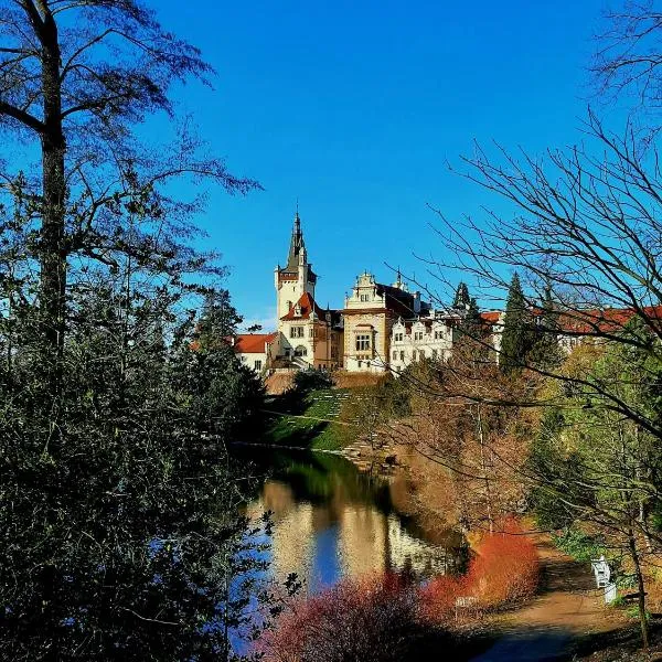 Hotel Floret, hotelli Prŭhonicessa