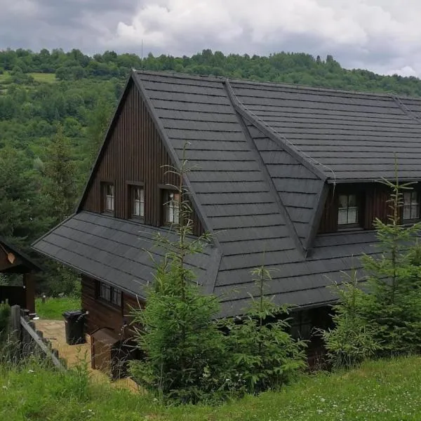 Drevenica Pod Vŕškom, hotel din Terchová